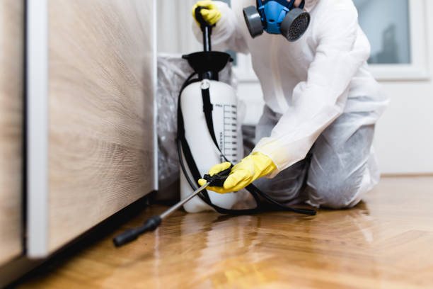 Best Termite Control Services  in Crescent, OK