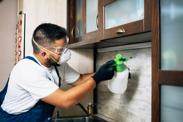 Best Local Pest Control Services  in Crescent, OK