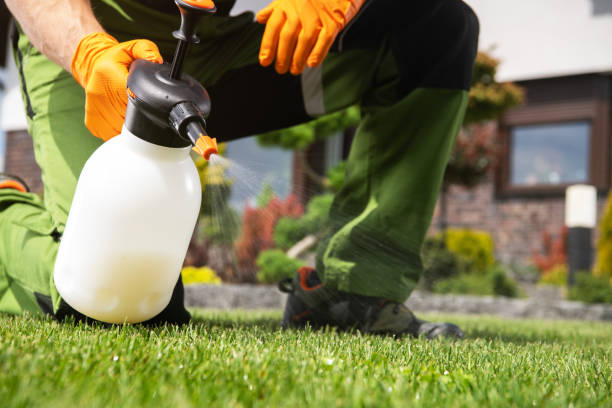 Best Pest Inspection Near Me  in Crescent, OK