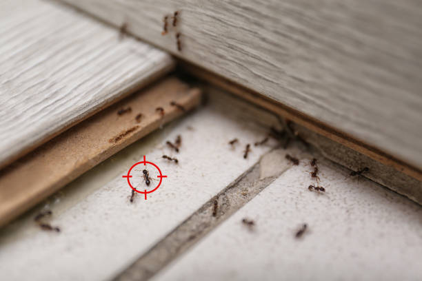Best Pest Control for Businesses  in Crescent, OK
