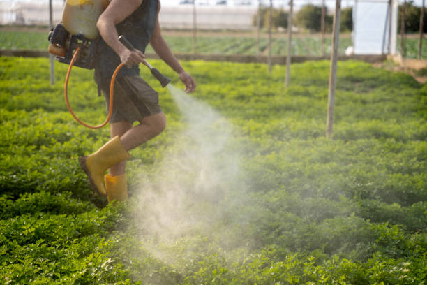Best Pest Prevention Services  in Crescent, OK