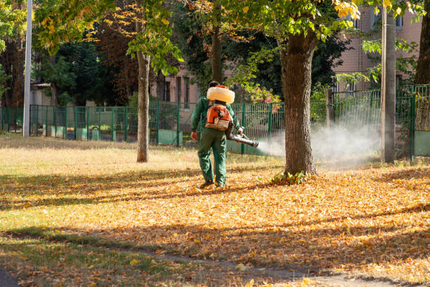 Best Bed Bug Extermination  in Crescent, OK
