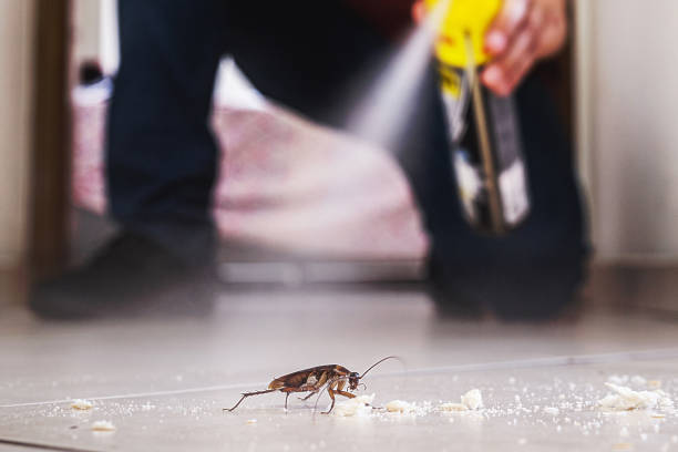 Best Exterminator Services  in Crescent, OK