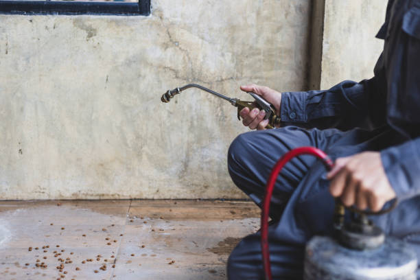 Best Affordable Pest Control Services  in Crescent, OK